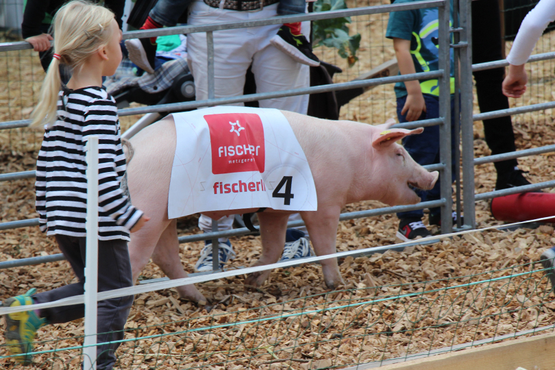 Heso Impressionen
